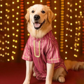 Dog Kurta / Sherwani - Pet Traditional Wear