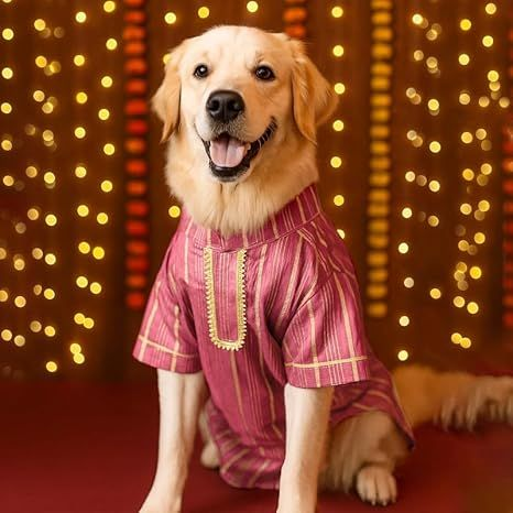 Dog Kurta / Sherwani - Pet Traditional Wear
