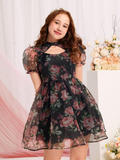 Party Frocks (Girls)