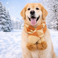 Pet Scarf - Cosy Knit Winter Scarves for Dogs & Cats